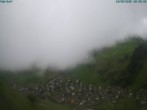 Archiv Foto Webcam Blick auf das Dorf Vals 05:00