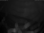 Archiv Foto Webcam Dachberghütte (2.500 m) 05:00