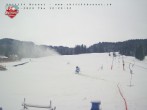 Archiv Foto Webcam Brunni (1.100 m) 11:00