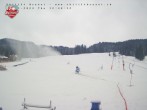 Archiv Foto Webcam Brunni (1.100 m) 13:00