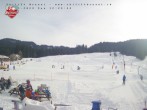 Archiv Foto Webcam Brunni (1.100 m) 11:00