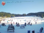 Archived image Webcam Brunni (1.100 m) 13:00