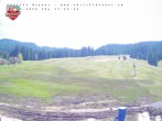 Archiv Foto Webcam Brunni (1.100 m) 11:00