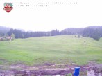 Archiv Foto Webcam Brunni (1.100 m) 11:00