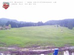 Archived image Webcam Brunni (1.100 m) 11:00