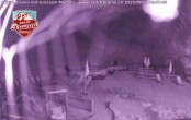 Archiv Foto Webcam Panorama Mythen 01:00