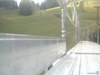 Archiv Foto Webcam Wallegg 13:00