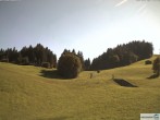 Archiv Foto Webcam Wallegg 15:00