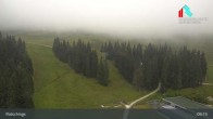 Archiv Foto Webcam Trentino: Skigebiet Ratschings Jaufen 08:00