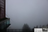 Archiv Foto Webcam Blick auf Meran 11:00