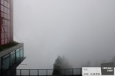 Archiv Foto Webcam Blick auf Meran 13:00