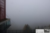 Archiv Foto Webcam Blick auf Meran 11:00