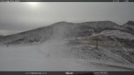 Archiv Foto Webcam Bergstation Piavac, Trentino 11:00