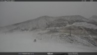 Archiv Foto Webcam Bergstation Piavac, Trentino 15:00