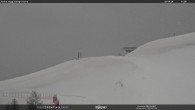 Archived image Webcam mountain station Campo-Cune, Trentino 11:00