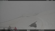 Archived image Webcam mountain station Campo-Cune, Trentino 11:00