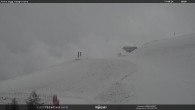 Archived image Webcam mountain station Campo-Cune, Trentino 09:00