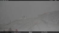 Archiv Foto Webcam Bergstation Campo-Cune, Trentino 15:00