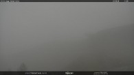 Archiv Foto Webcam Bergstation Campo-Cune, Trentino 11:00