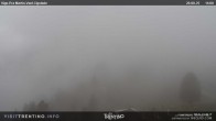 Archived image Webcam Top station of the Pian Pecei-Pra Martin chair lift 13:00