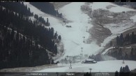 Archived image Webcam Val di Fiemme Obereggen 11:00