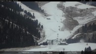 Archiv Foto Webcam Val di Fiemme Obereggen 13:00