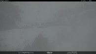 Archiv Foto Webcam Fleimstal, Rifugio Latemar 09:00