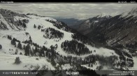 Archiv Foto Webcam Val di Fiemme Agnello 11:00