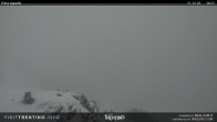 Archiv Foto Webcam Val di Fiemme Agnello 13:00