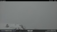 Archiv Foto Webcam Val di Fiemme Agnello 11:00