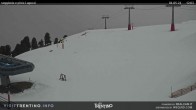 Archived image Webcam Val di Fiemme Cavalese 11:00