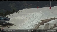 Archived image Webcam Val di Fiemme Cavalese 13:00