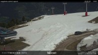 Archived image Webcam Val di Fiemme Cavalese 11:00