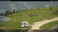 Archiv Foto Webcam Val di Fiemme Cavalese 09:00