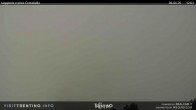 Archived image Webcam Val di Fiemme, Lagorai 11:00