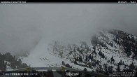 Archiv Foto Webcam Prà Fiorì im Fassatal 13:00