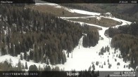 Archived image Webcam Piavac slope at Val di Fassa 11:00