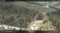 Archived image Webcam Piavac slope at Val di Fassa 11:00