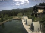 Archived image Webcam Hotel Riedlberg, Bavarian Forest 11:00