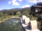 Archiv Foto Webcam Hotel Riedlberg, Bayerischer Wald 09:00