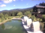 Archiv Foto Webcam Hotel Riedlberg, Bayerischer Wald 09:00