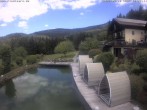 Archiv Foto Webcam Hotel Riedlberg, Bayerischer Wald 11:00