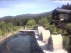 Archived image Webcam Hotel Riedlberg, Bavarian Forest 09:00