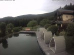 Archiv Foto Webcam Hotel Riedlberg, Bayerischer Wald 11:00