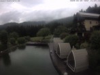 Archiv Foto Webcam Hotel Riedlberg, Bayerischer Wald 13:00