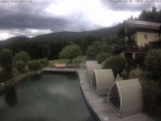 Archiv Foto Webcam Hotel Riedlberg, Bayerischer Wald 13:00