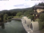 Archiv Foto Webcam Hotel Riedlberg, Bayerischer Wald 15:00