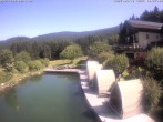 Archiv Foto Webcam Hotel Riedlberg, Bayerischer Wald 09:00