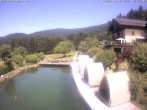 Archiv Foto Webcam Hotel Riedlberg, Bayerischer Wald 11:00