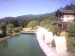 Archiv Foto Webcam Hotel Riedlberg, Bayerischer Wald 13:00